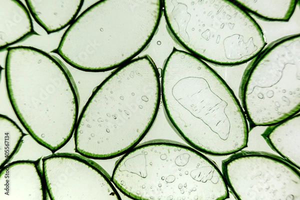 Fototapeta Aloe vera slice texture background. Medicinal plant. Used to treat and to make a cream. Flat lay. Top view.