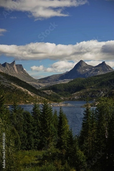Obraz Falkflaug, Norway