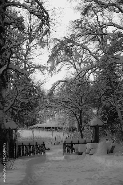 Obraz Winter on the farm