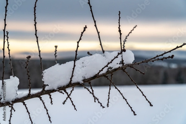 Obraz Verschneiter Ast