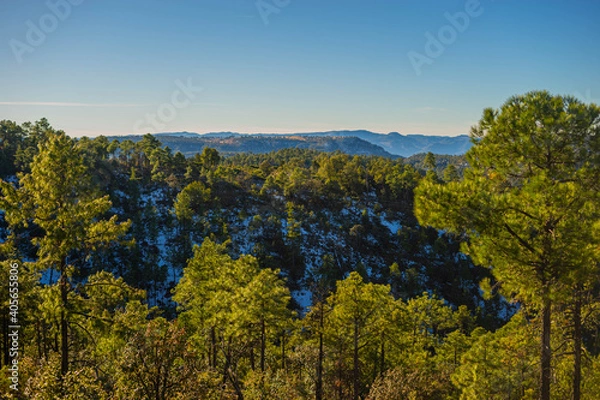 Obraz autumn landscape with trees