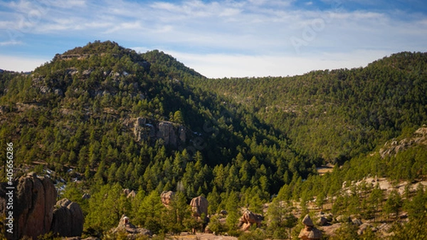 Obraz landscape with mountains