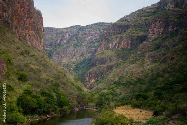 Obraz canyon green forest
