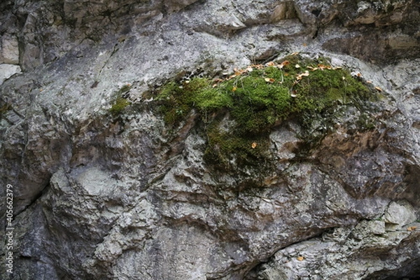 Fototapeta The texture of the rock. Mountain cliff of rock surface. Natural cave wall.