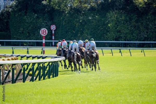 Fototapeta 競馬場の風景