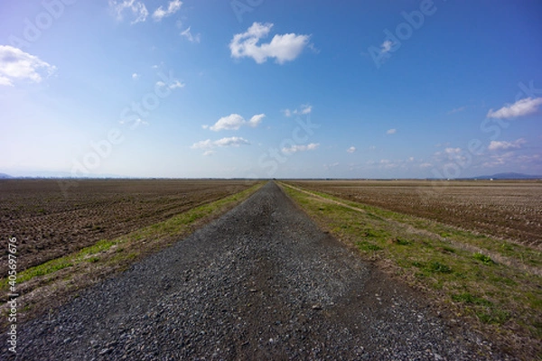 Fototapeta 早春の光を浴びる広大な大潟村の農地