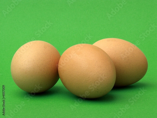 Obraz Hühnereier