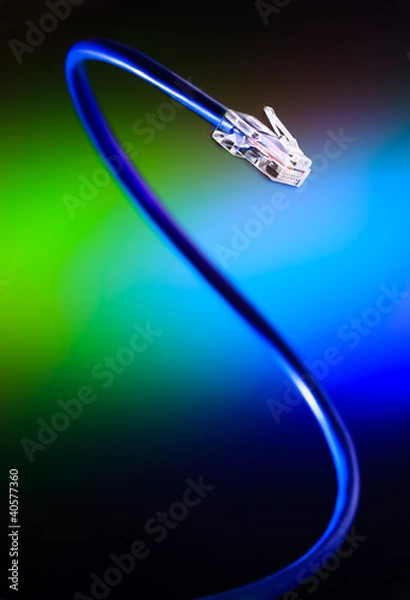 Obraz Internet dragon