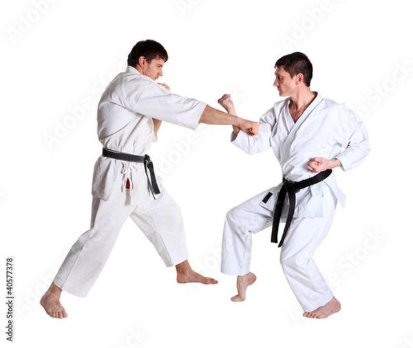 Obraz Karate. Men in a kimono. Battle sports capture