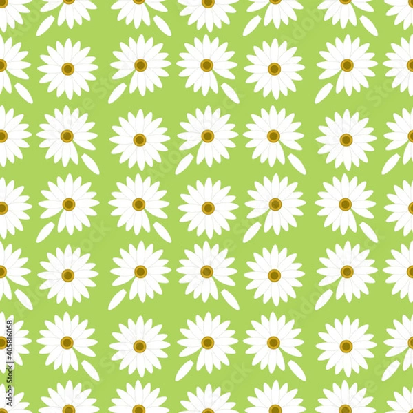 Fototapeta Chamomiles with petals on a green background as a design element. Vector seamless pattern for textile, wallpaper, wrapping paper, print, poster, postcards