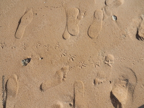 Fototapeta OLYMPUS DIGITAL CAMERA