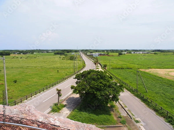 Fototapeta OLYMPUS DIGITAL CAMERA