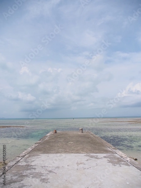 Fototapeta OLYMPUS DIGITAL CAMERA