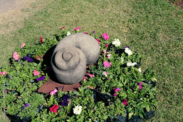 Obraz flowers on the stone