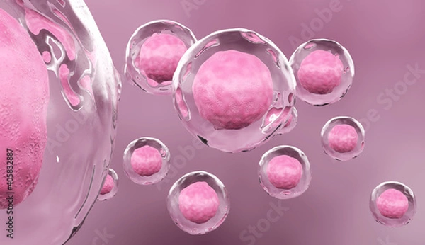 Obraz Human Stem Cell Concept, 3D Render