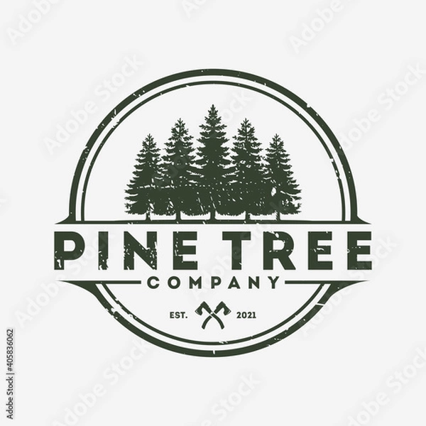Fototapeta pine trees logo vintage style, rustic retro, design template, vector illustration.