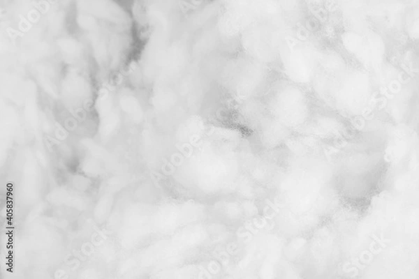 Fototapeta White wadding wadding texture background. cotton. cottonwool