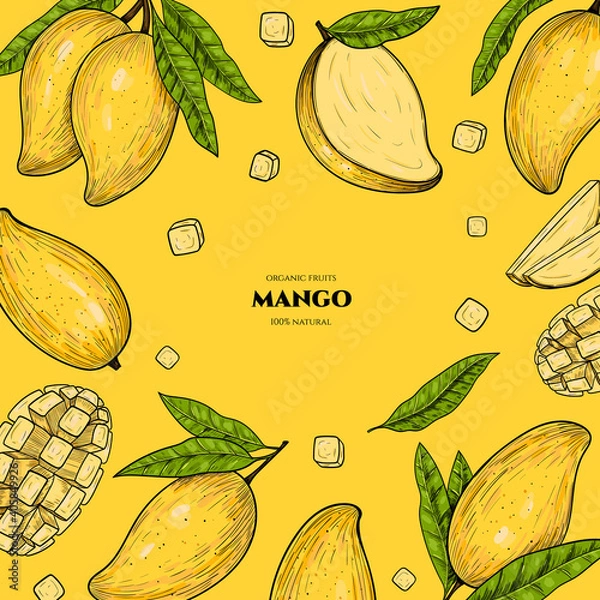Obraz Vector frame with mango. Hand drawn. Vintage style