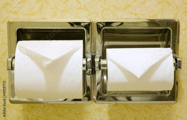 Obraz Bathroom Tissue #363