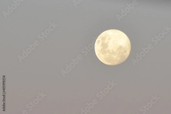 Obraz full moon in the sky