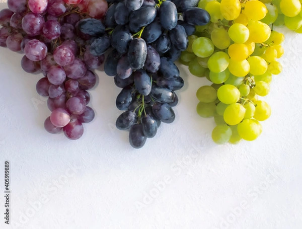 Obraz White, blue, red grapes on table in vineyard stock photo
