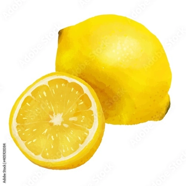 Fototapeta レモン　水彩イラスト