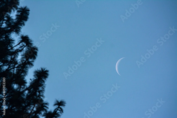 Obraz moon in the sky