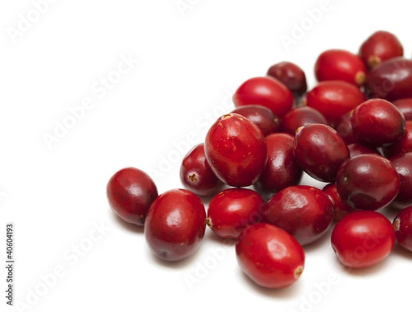 Fototapeta cranberries