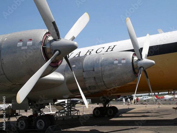 Obraz monarcha samolotu