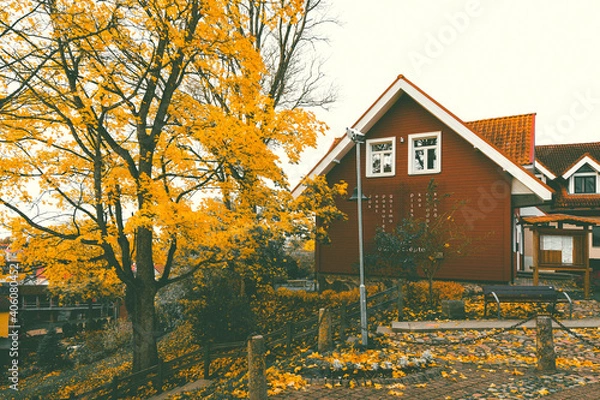 Obraz house in autumn forest