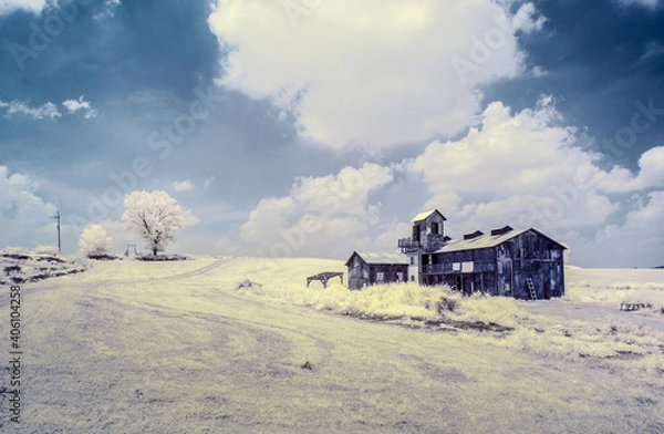 Fototapeta 적외선 사진