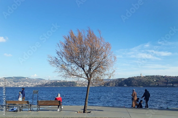 Fototapeta People fishing in the Bosphorus and people walking on the beach enjoy the sunny weather in Emirgan, Istanbul, Turkey, 10 January 2021