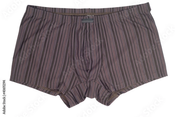 Obraz Brown Briefs