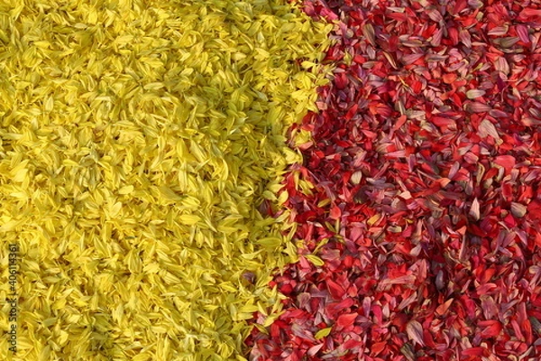 Fototapeta red carpet texture