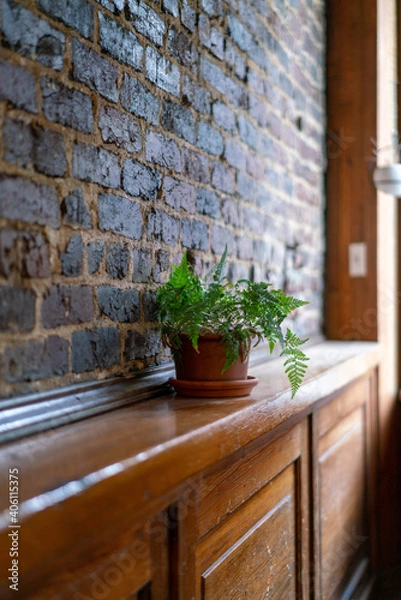 Obraz plant on shelf with brick wall