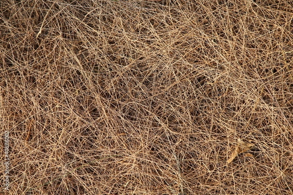 Fototapeta hay bale background