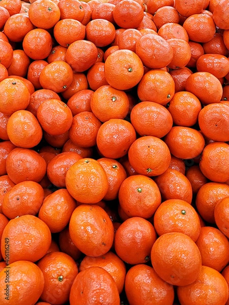 Obraz 홍미향귤 미하야귤