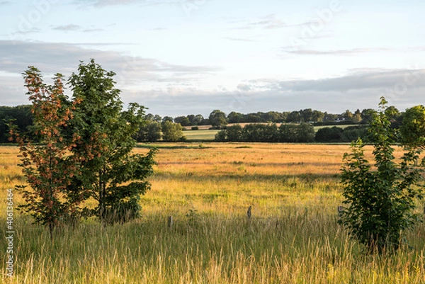 Obraz Feldlandschaften