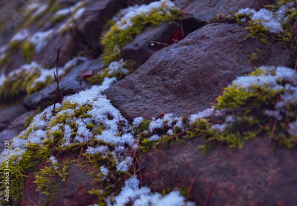Obraz Schnee in den Bergen