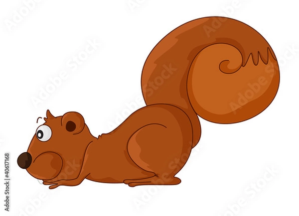 Fototapeta Squirrel