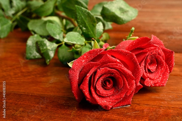 Fototapeta Valentine's Day background. two red roses symbol of love. Valentine's Day concept. Flat view, top view, copy space