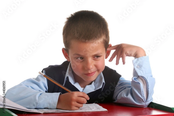 Obraz Elementary / Primary School boy