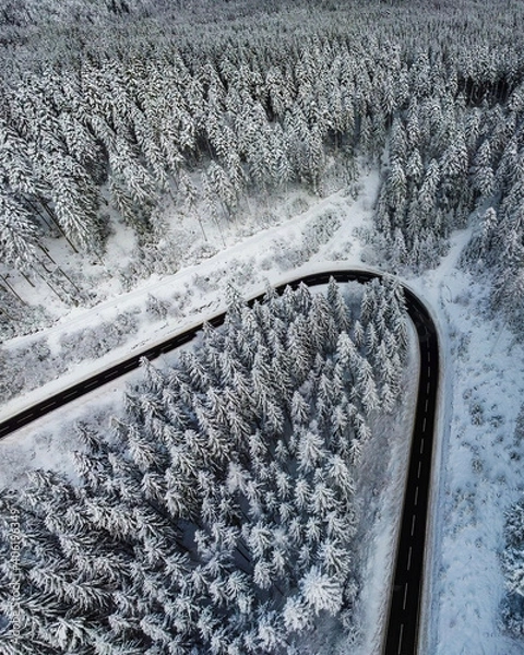 Obraz snow covered road