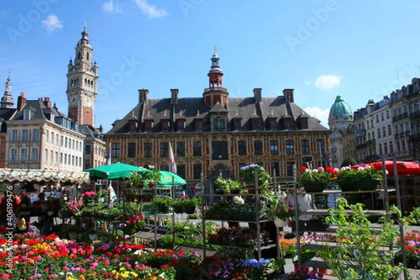 Obraz Marché aux fleurs de Lille