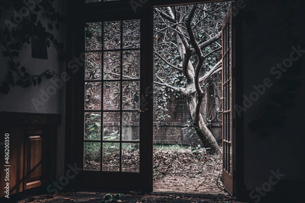 Obraz Puerta a la vida