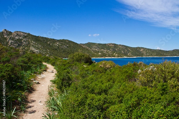 Obraz Sentiero mediterraneo