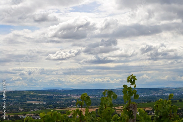 Obraz Schöner Weinberg