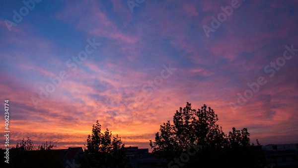 Obraz sunset in the forest