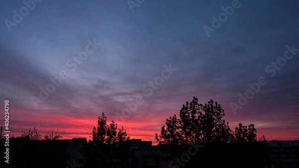 Obraz sunset in the forest