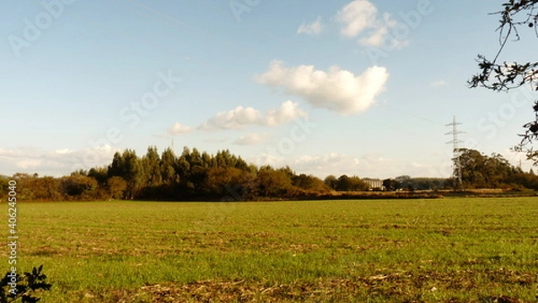 Obraz sunset in the field